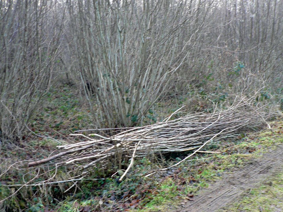 select left of pic for previous, right for next, top for index