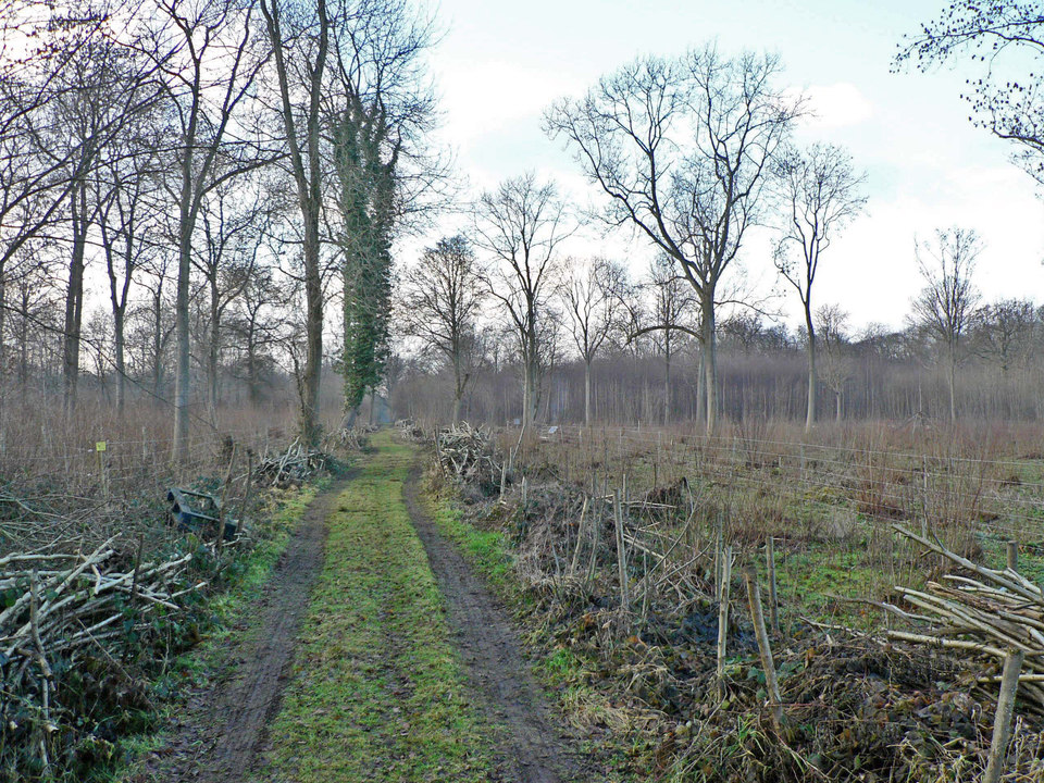 select left of pic for previous, right for next, top for index