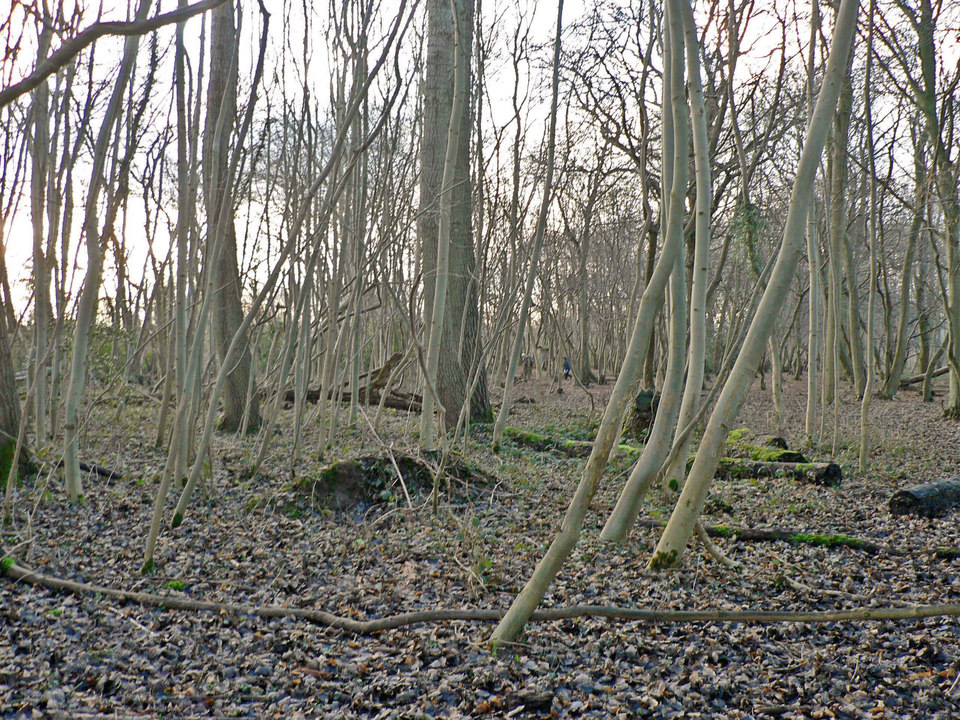 select left of pic for previous, right for next, top for index