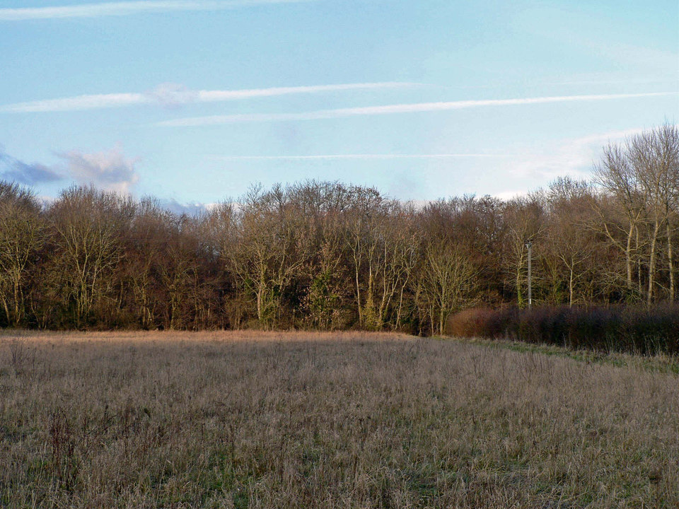 select left of pic for previous, right for next, top for index