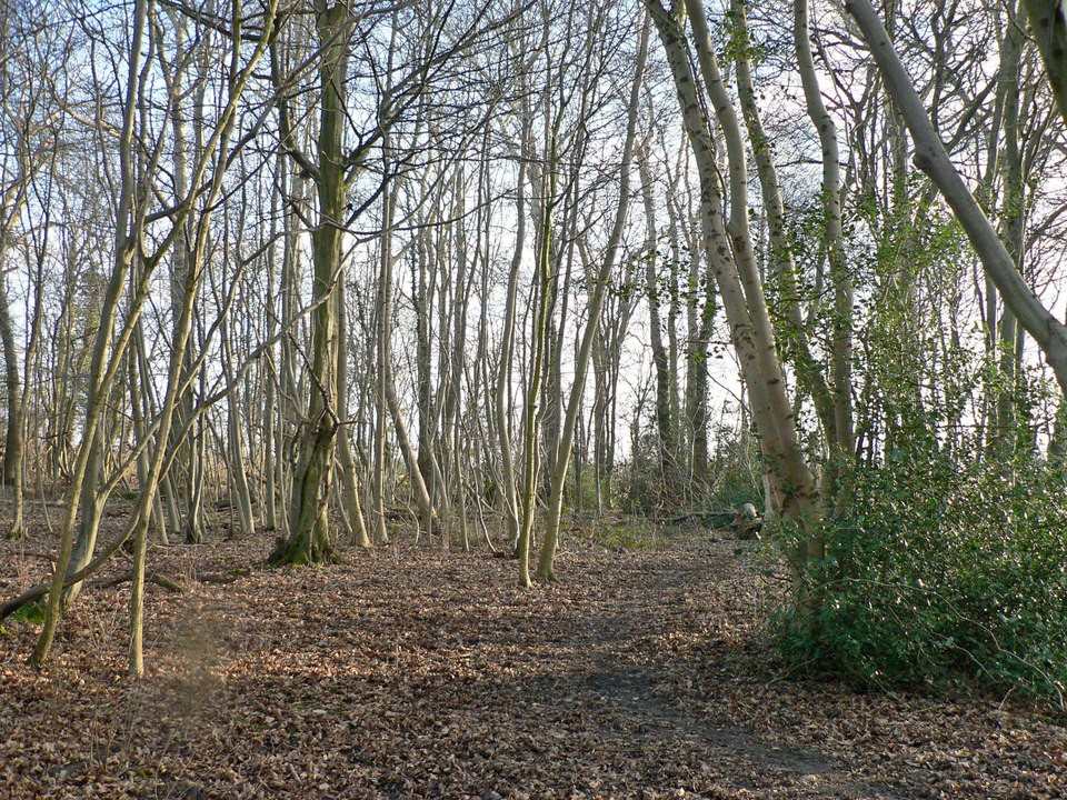 select left of pic for previous, right for next, top for index