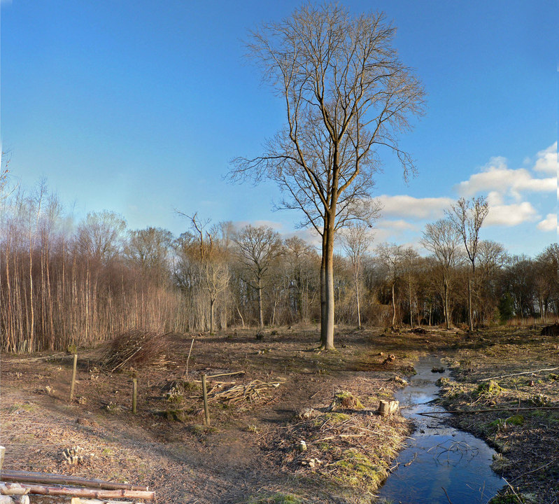 select left of pic for previous, right for next, top for index