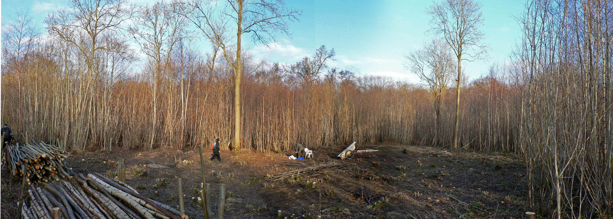 select left of pic for previous, right for next, top for index