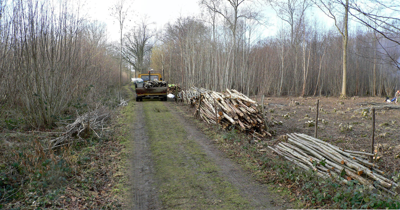 select left of pic for previous, right for next, top for index