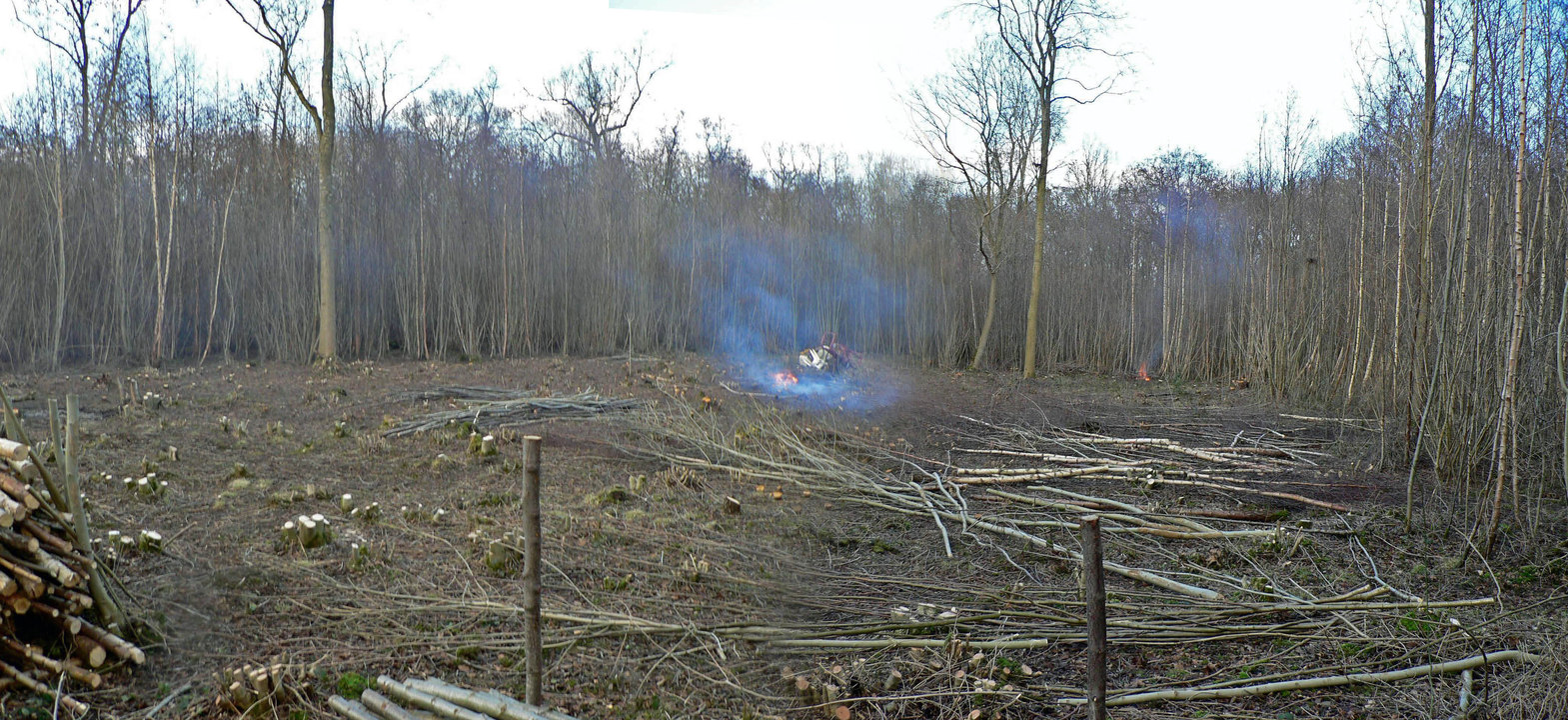 select left of pic for previous, right for next, top for index