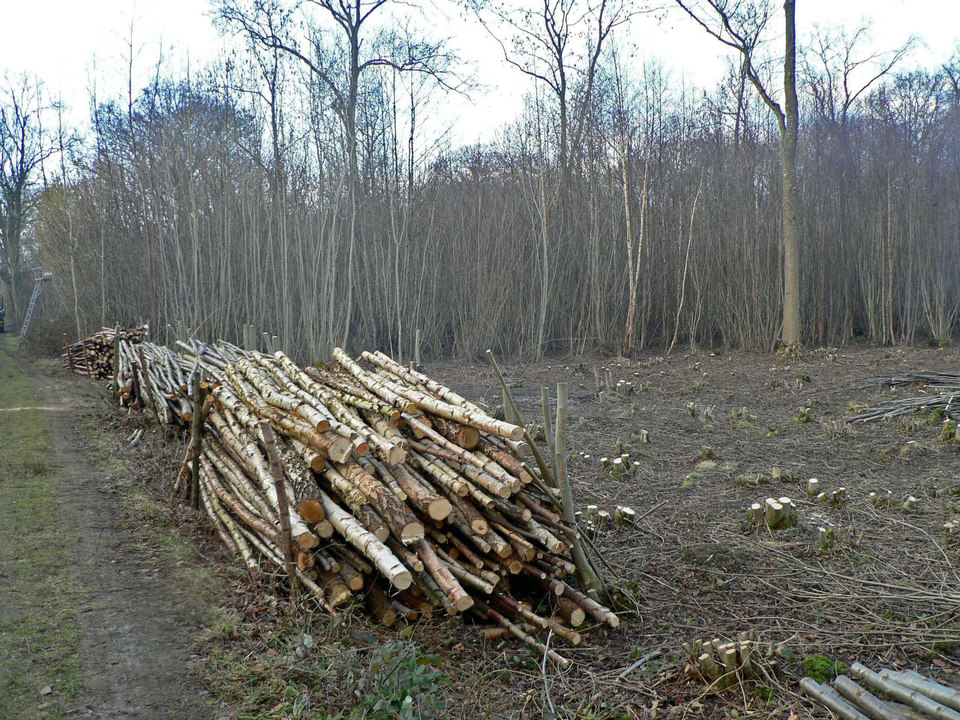 select left of pic for previous, right for next, top for index