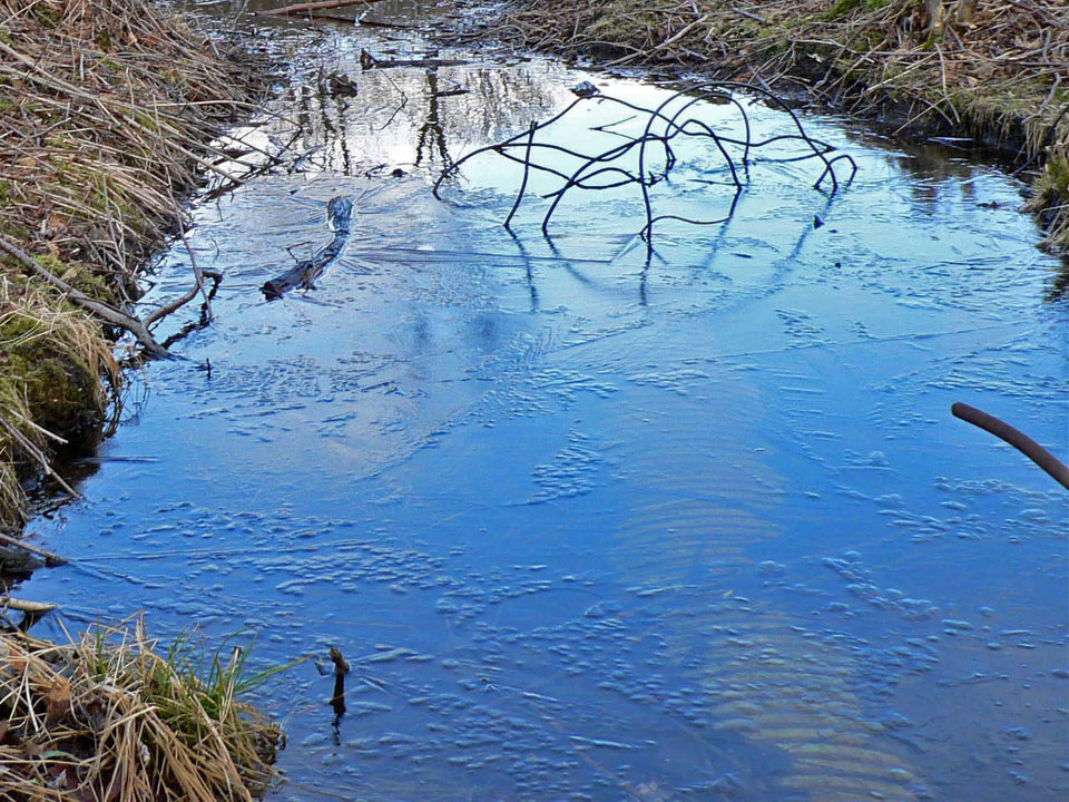 select left of pic for previous, right for next, top for index