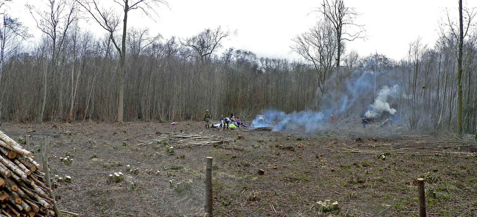 select left of pic for previous, right for next, top for index