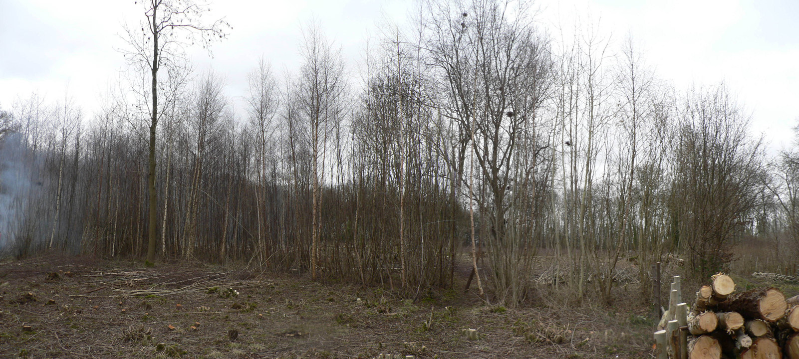 select left of pic for previous, right for next, top for index