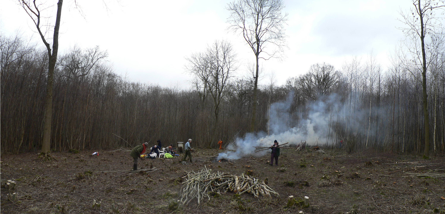 select left of pic for previous, right for next, top for index