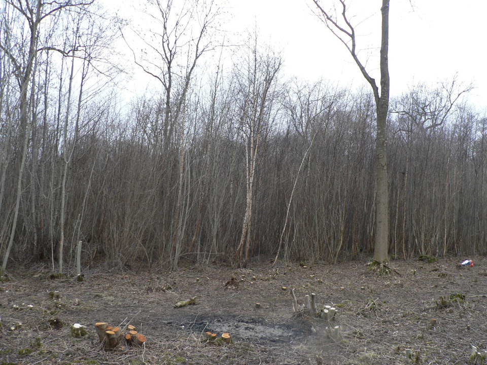 select left of pic for previous, right for next, top for index