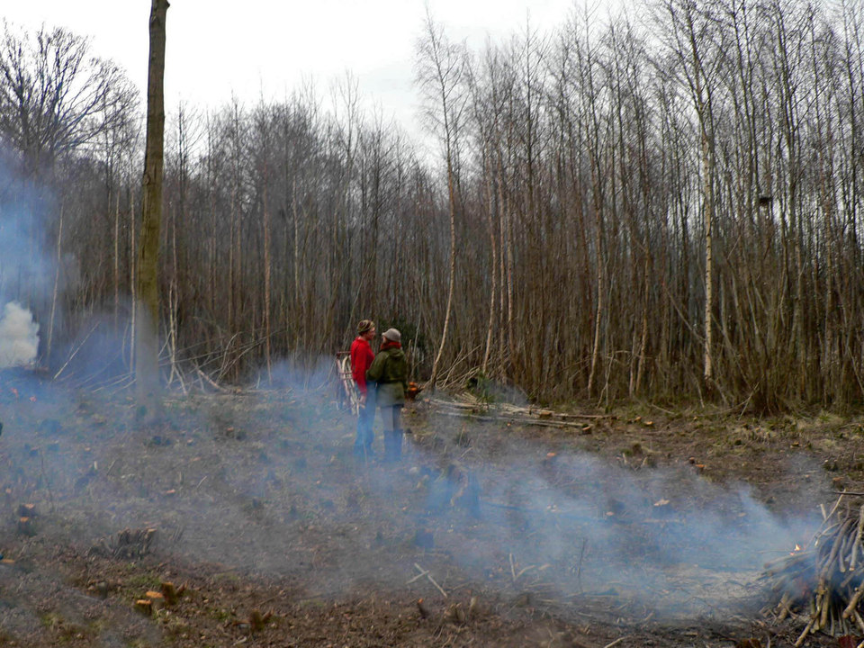 select left of pic for previous, right for next, top for index