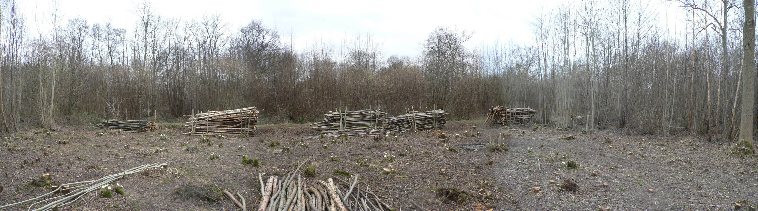 select left of pic for previous, right for next, top for index