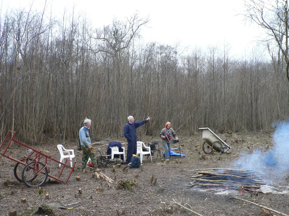 select left of pic for previous, right for next, top for index