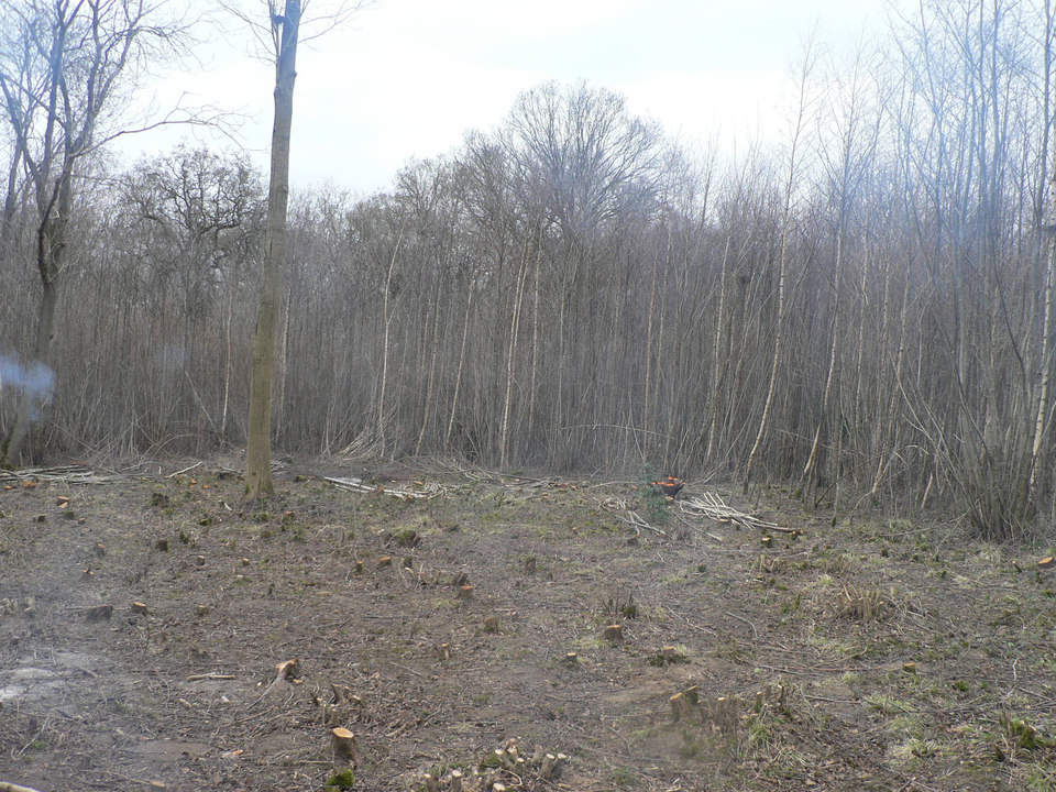 select left of pic for previous, right for next, top for index