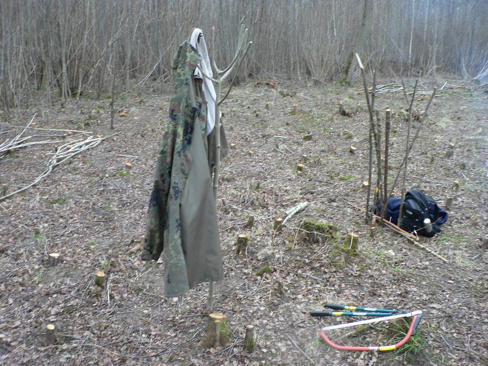 select left of pic for previous, right for next, top for index