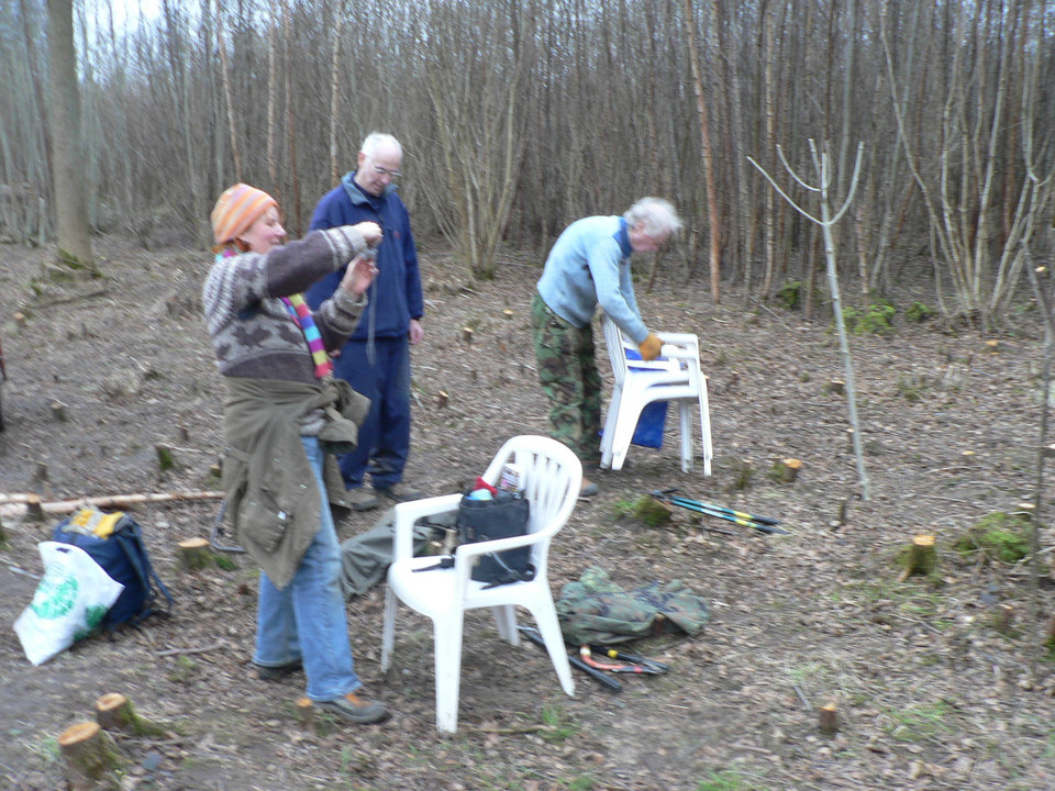 select left of pic for previous, right for next, top for index