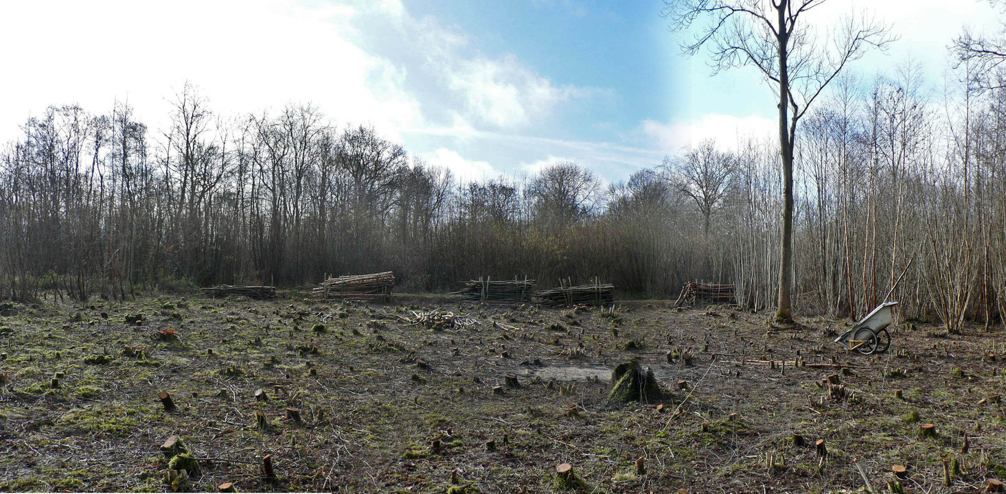 select left of pic for previous, right for next, top for index