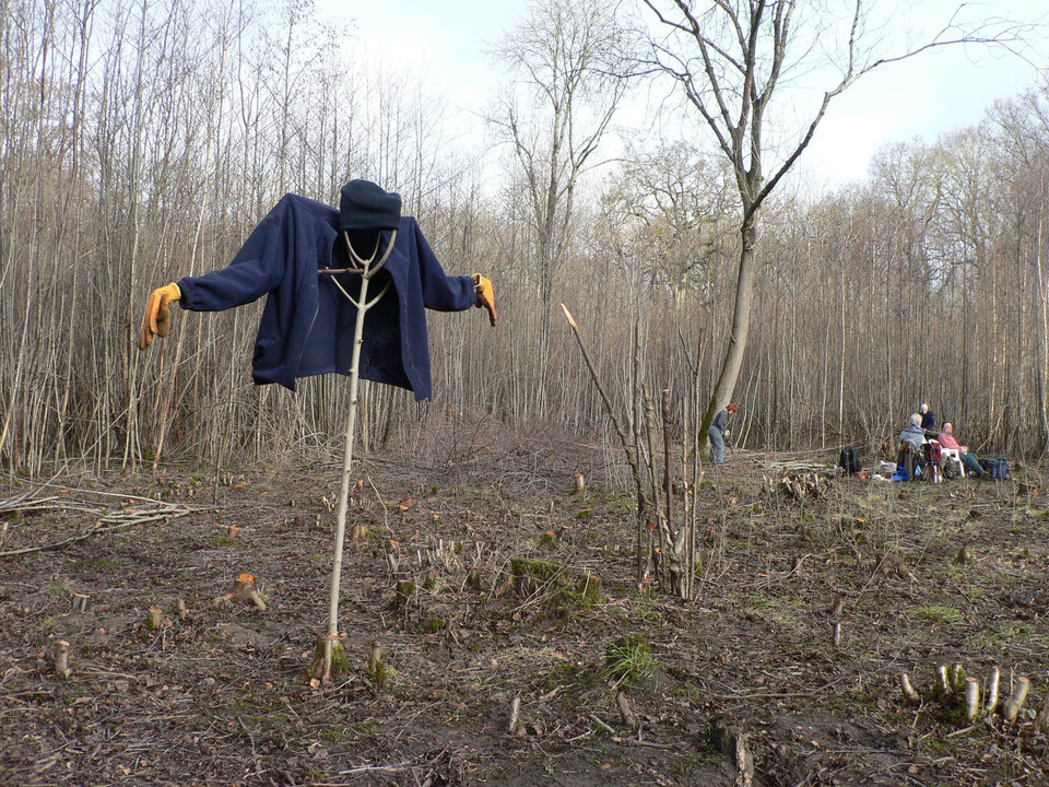 select left of pic for previous, right for next, top for index