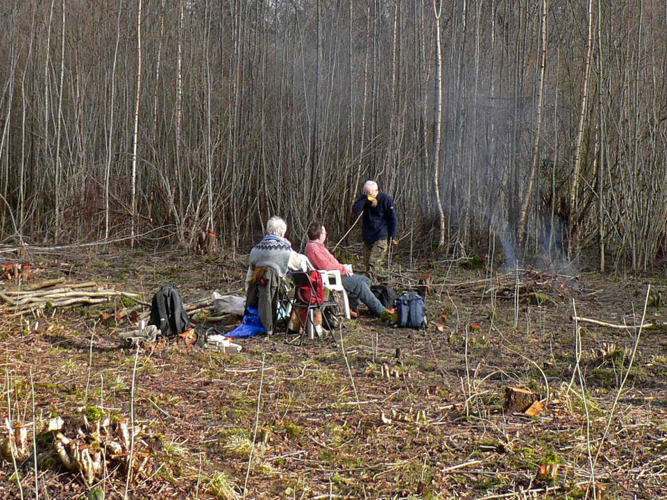 select left of pic for previous, right for next, top for index