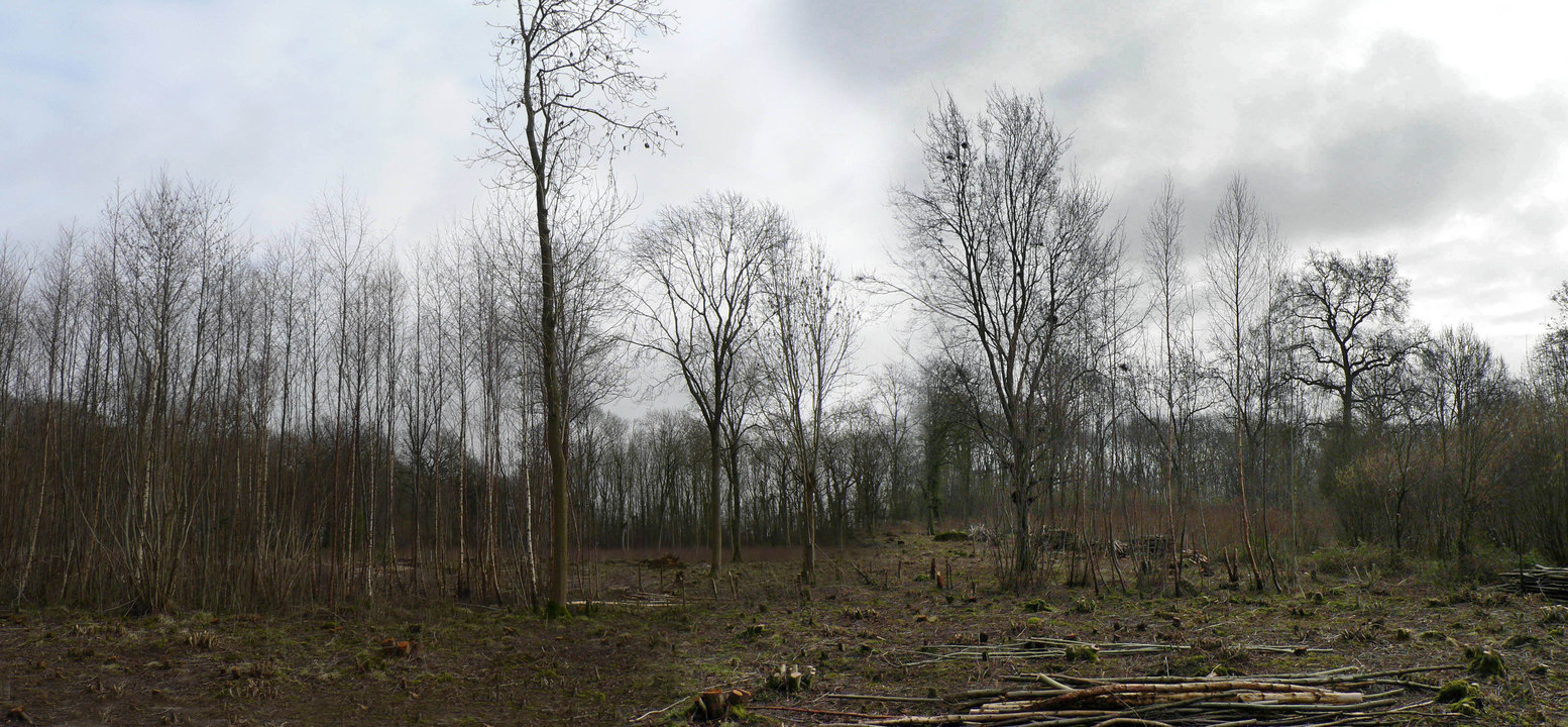 select left of pic for previous, right for next, top for index