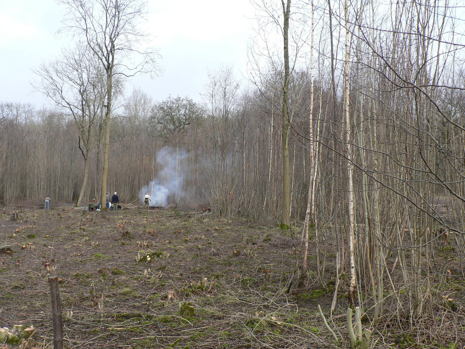 select left of pic for previous, right for next, top for index