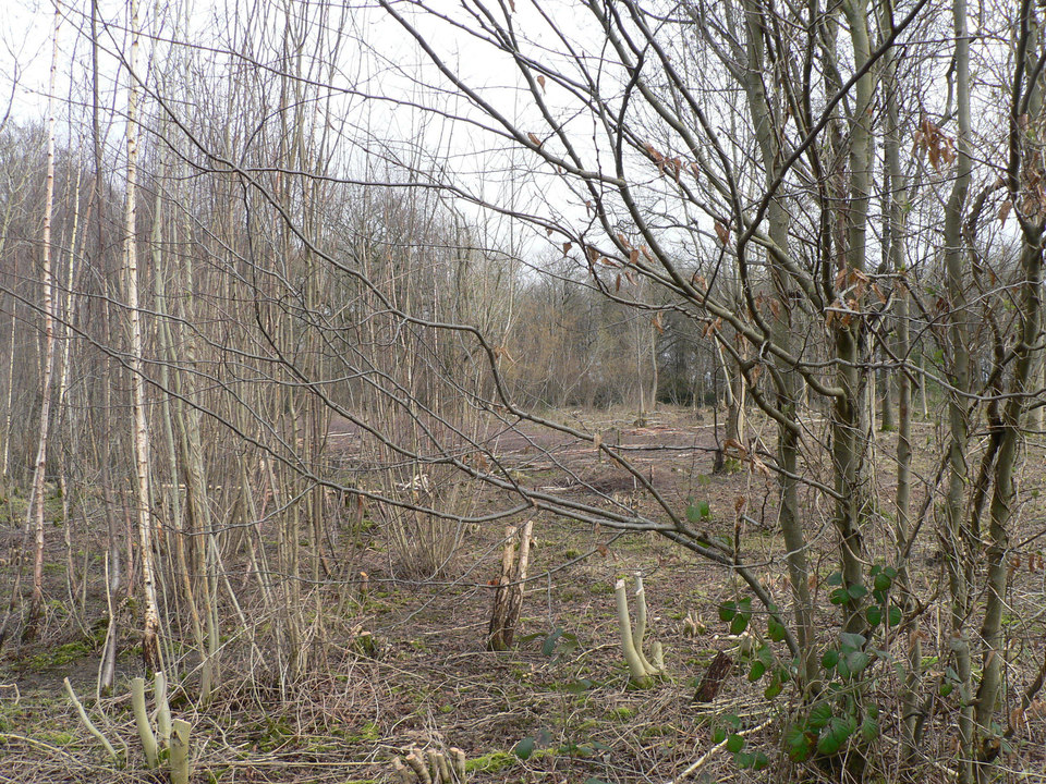 select left of pic for previous, right for next, top for index