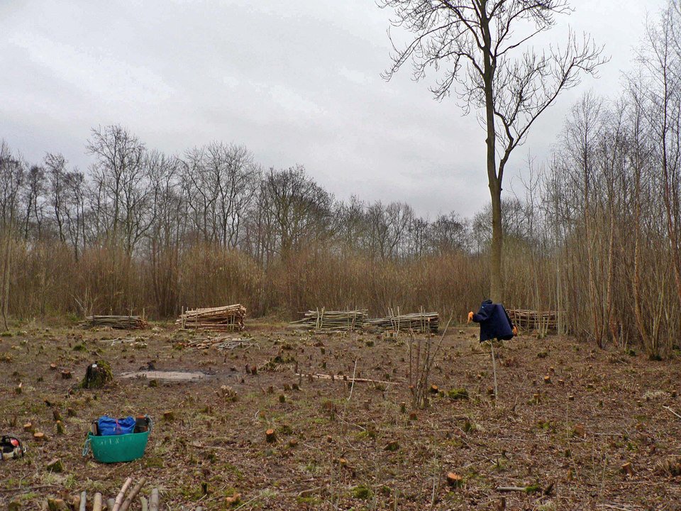 select left of pic for previous, right for next, top for index