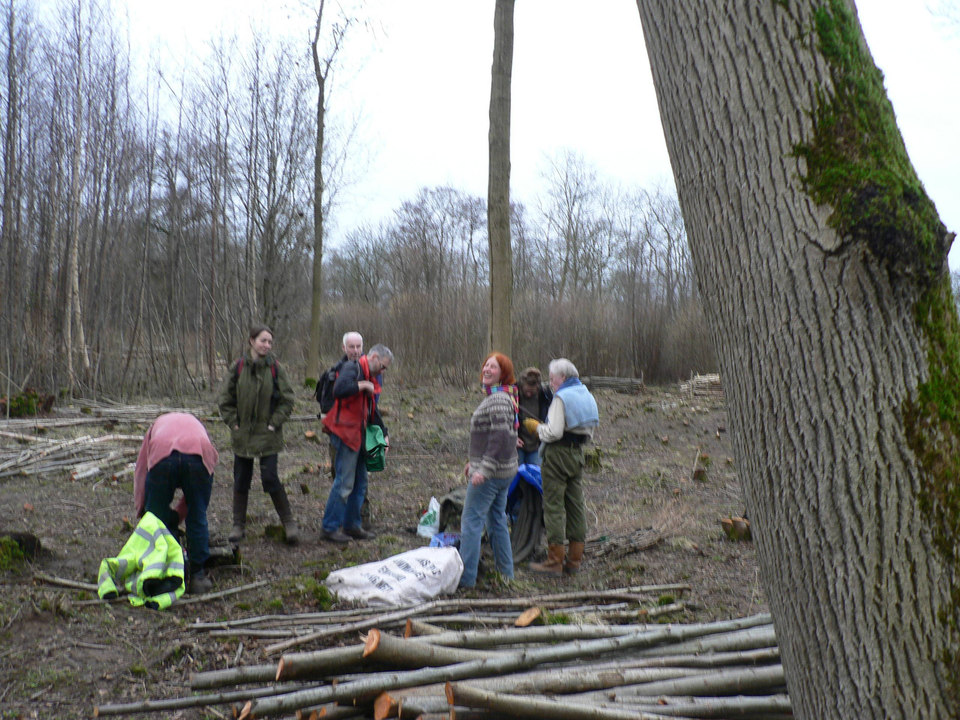 select left of pic for previous, right for next, top for index