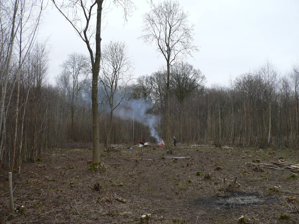 select left of pic for previous, right for next, top for index