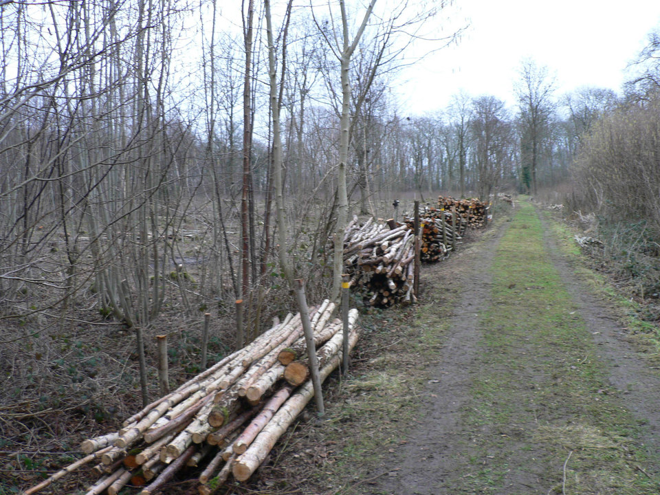 select left of pic for previous, right for next, top for index