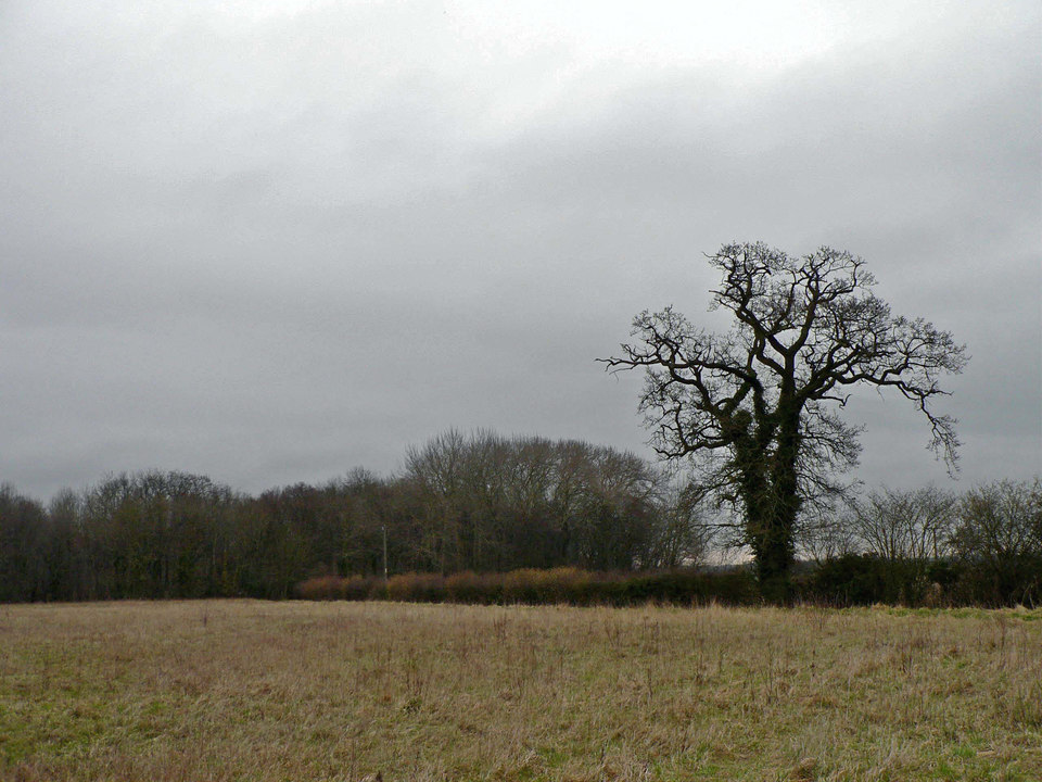 select left of pic for previous, right for next, top for index