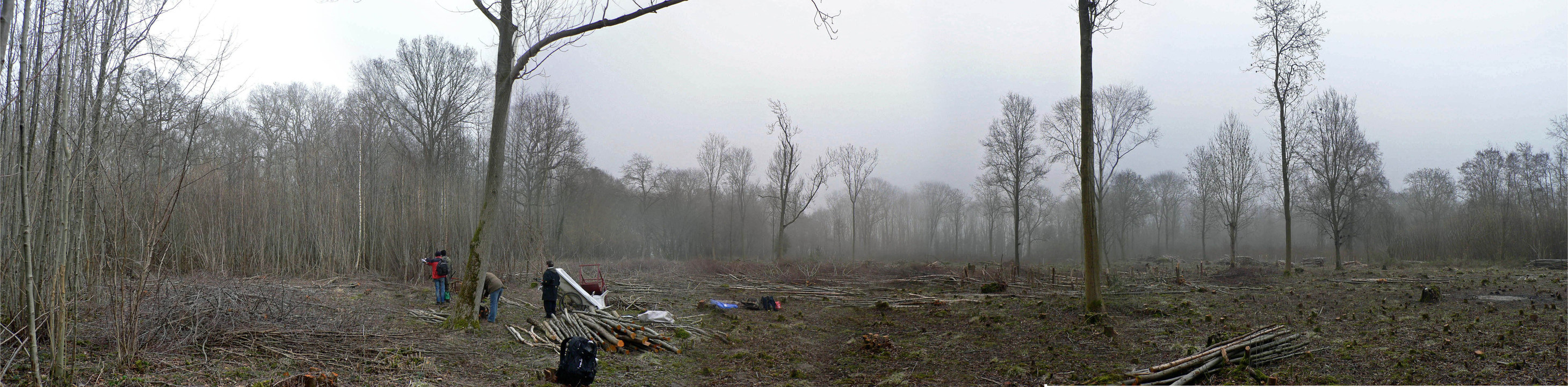 select left of pic for previous, right for next, top for index