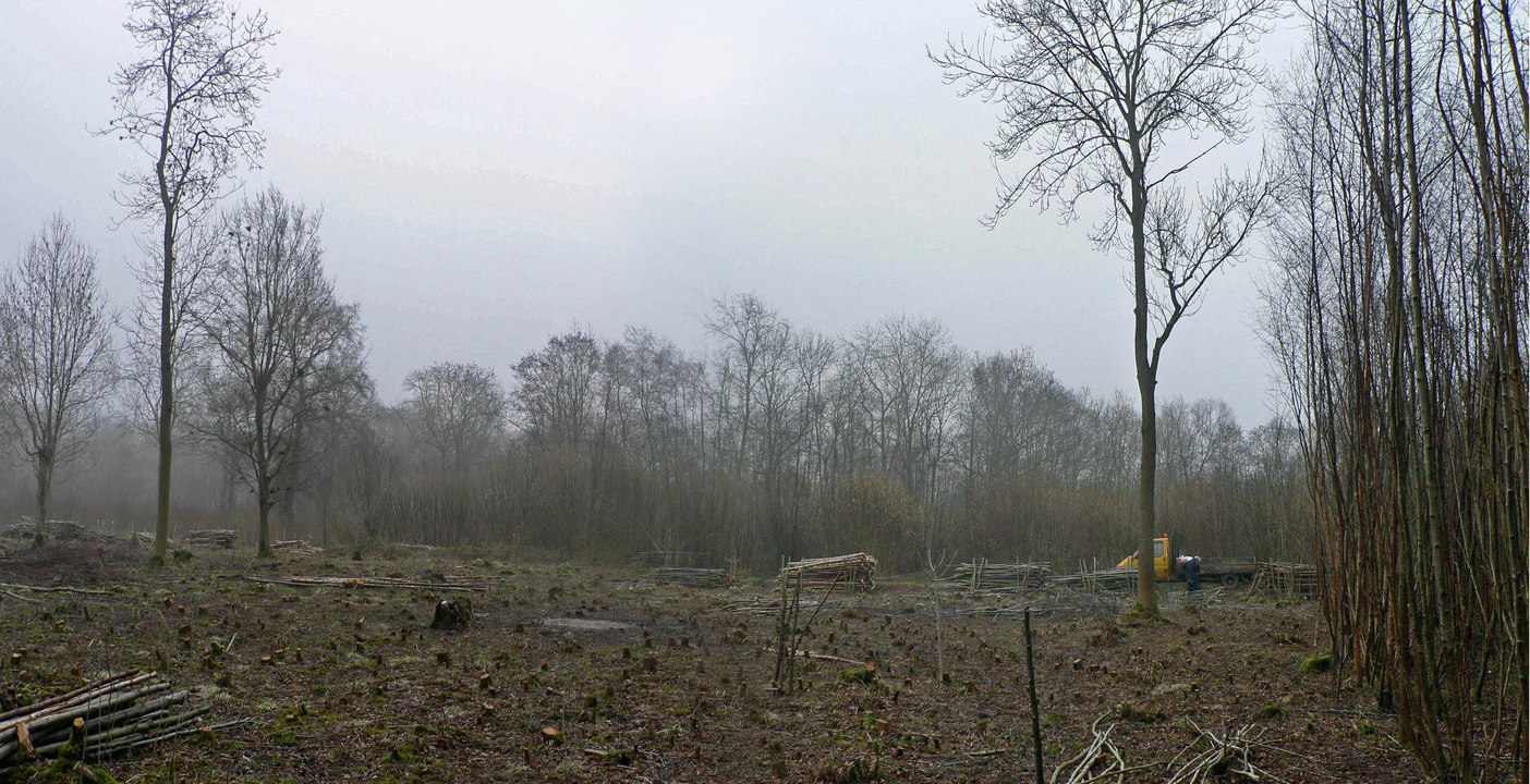 select left of pic for previous, right for next, top for index