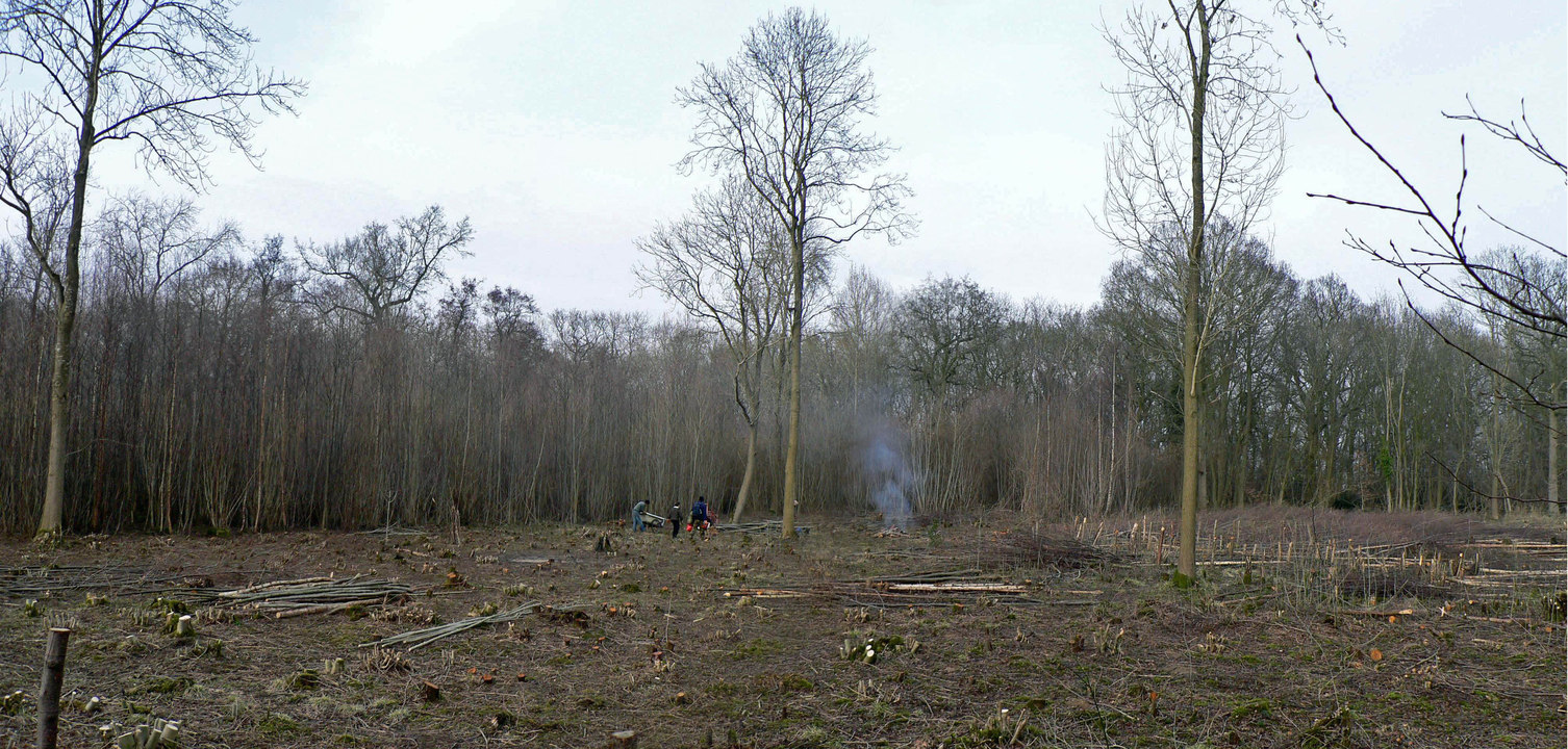 select left of pic for previous, right for next, top for index