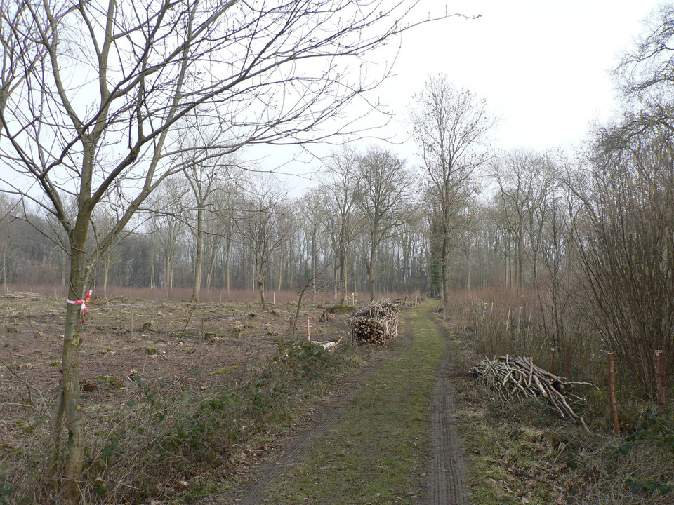 select left of pic for previous, right for next, top for index