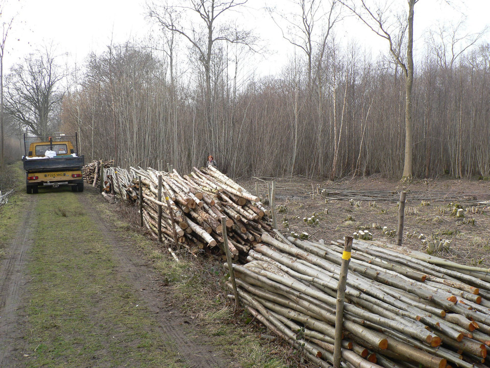 select left of pic for previous, right for next, top for index