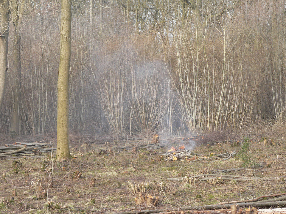 select left of pic for previous, right for next, top for index