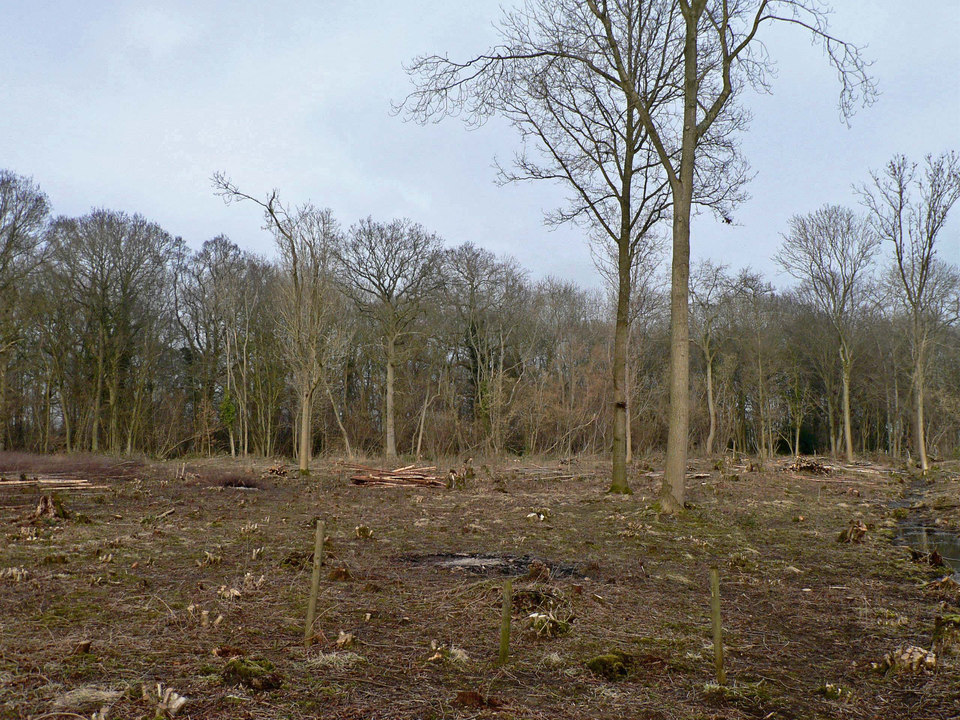 select left of pic for previous, right for next, top for index