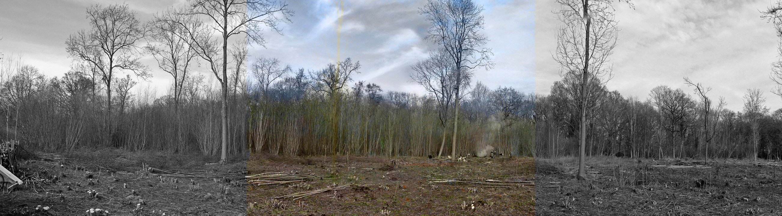 select left of pic for previous, right for next, top for index