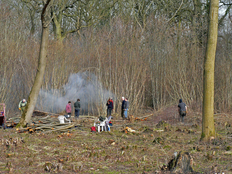 select left of pic for previous, right for next, top for index