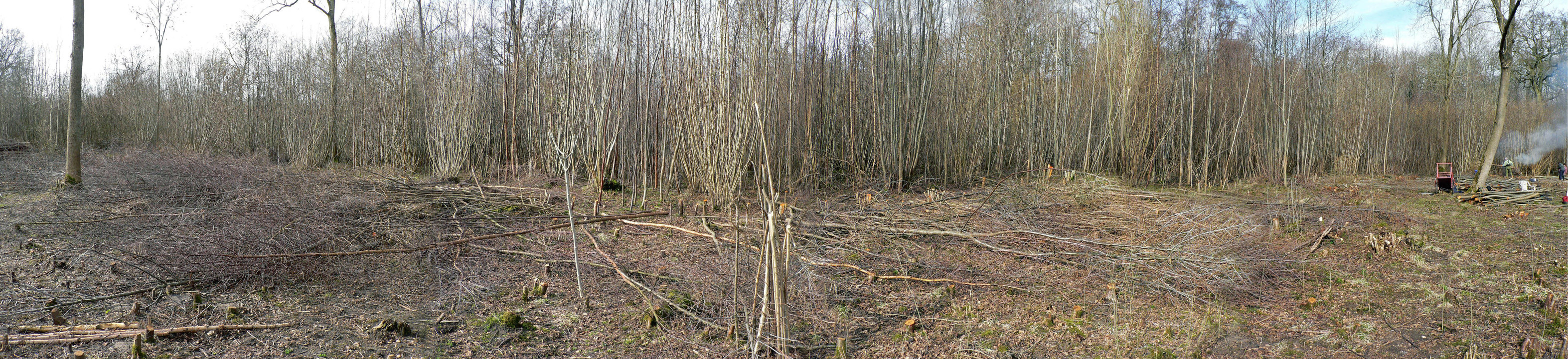 select left of pic for previous, right for next, top for index