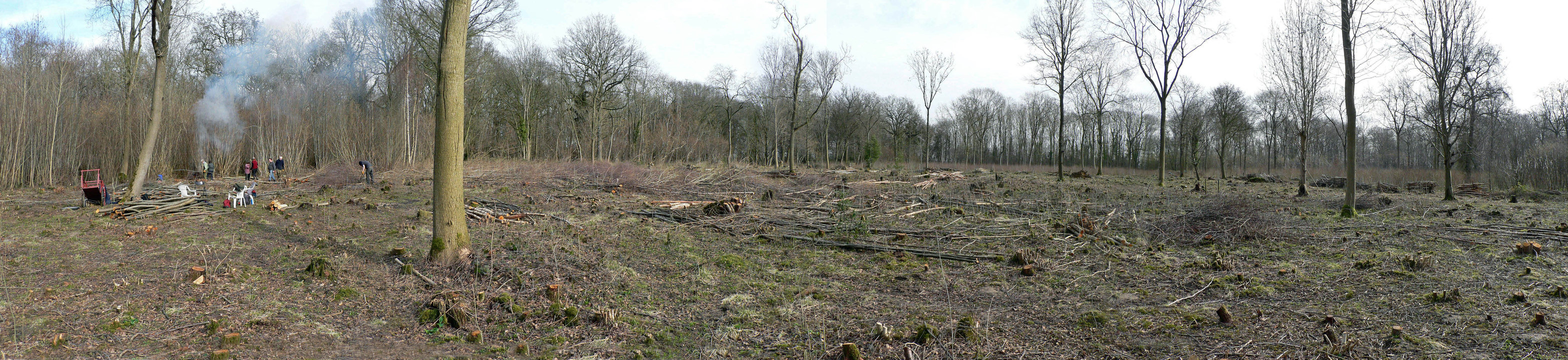 select left of pic for previous, right for next, top for index