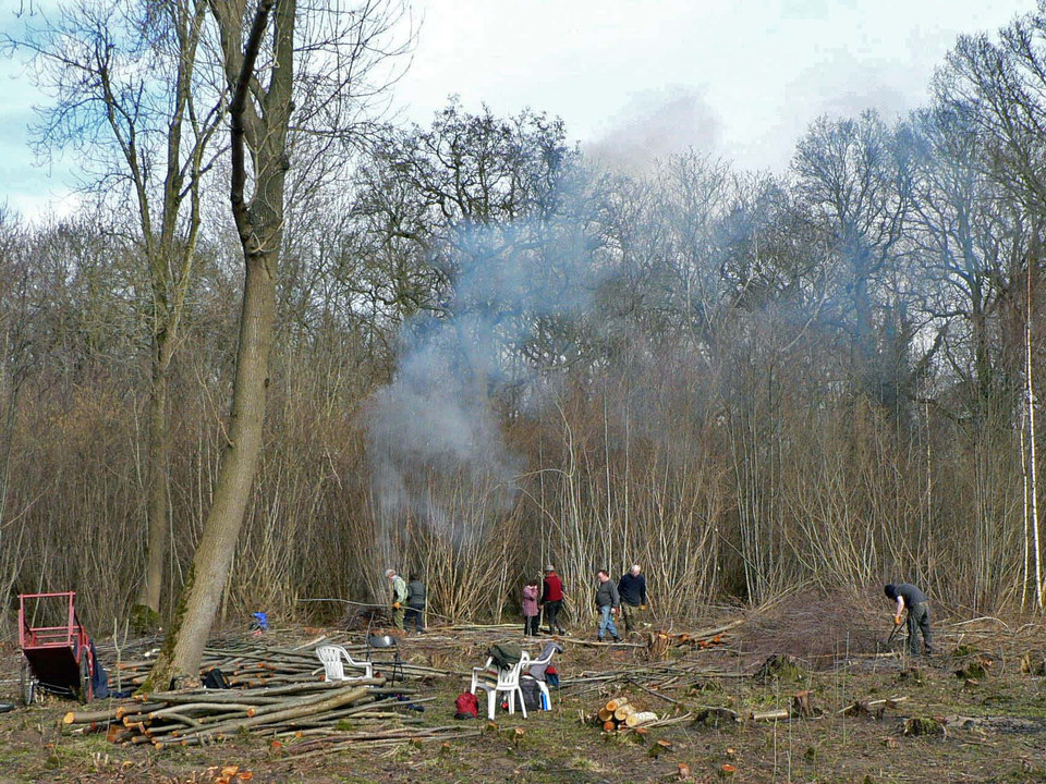 select left of pic for previous, right for next, top for index