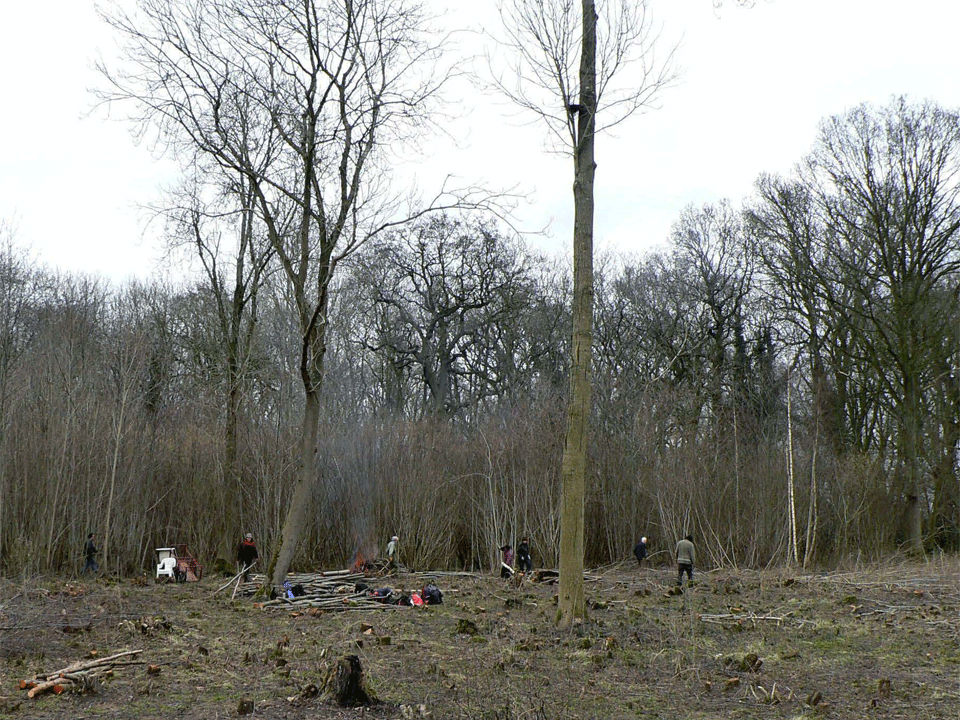 select left of pic for previous, right for next, top for index