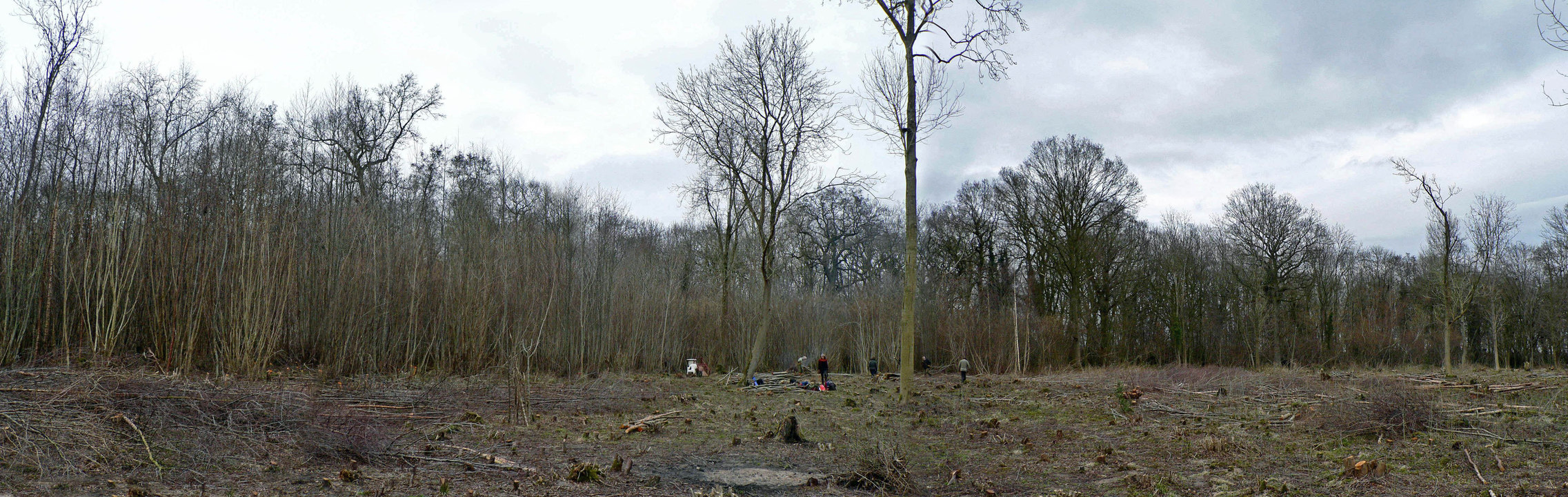 select left of pic for previous, right for next, top for index