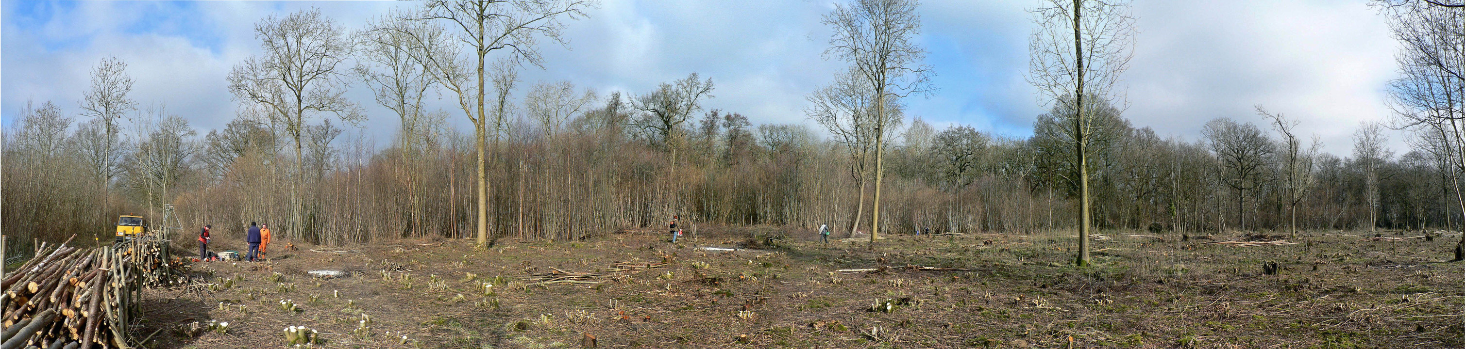 select left of pic for previous, right for next, top for index