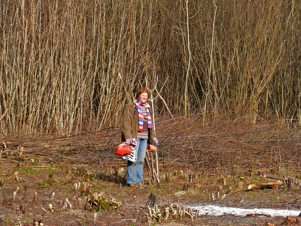 select left of pic for previous, right for next, top for index