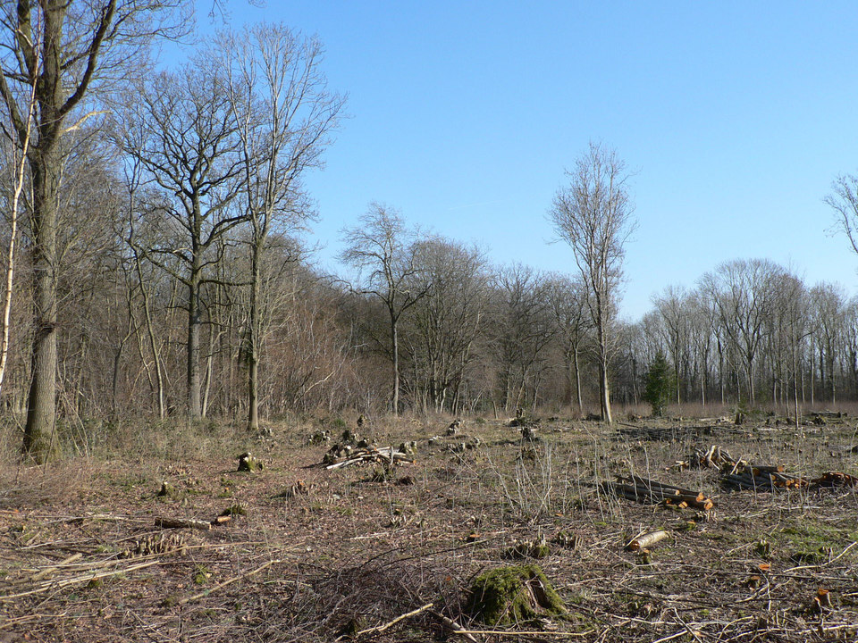 select left of pic for previous, right for next, top for index