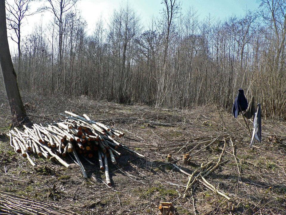 select left of pic for previous, right for next, top for index